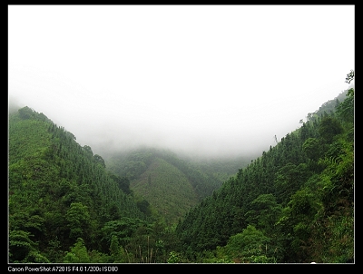 nEO_IMG_nEO_IMG_���� IMG_4234.jpg