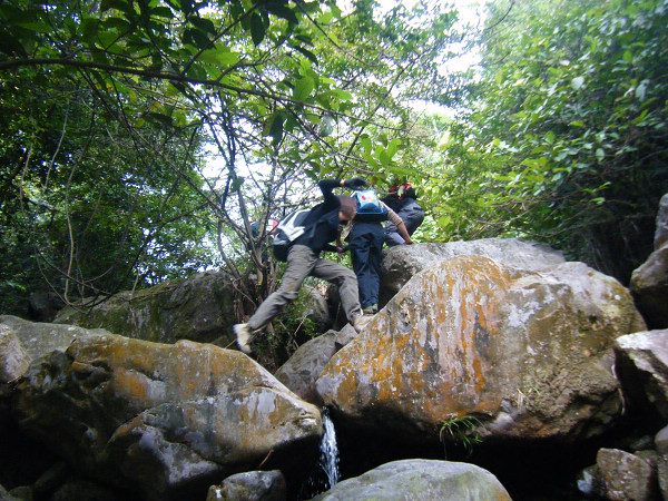 ������ɵĵڶ���˼˼