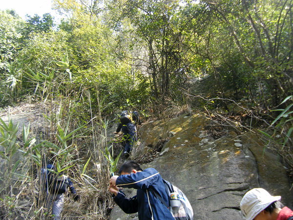 �����˴������е����ѵ�70����