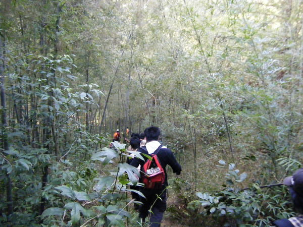 ���ֿ���