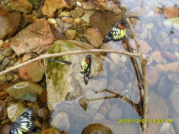 ������С SAM_0704.JPG