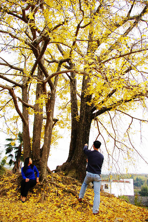 ��ͯ���������