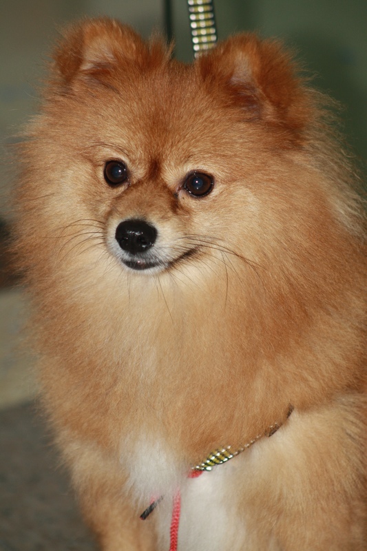 ѧ�� 065_��Ӱ_1.jpg