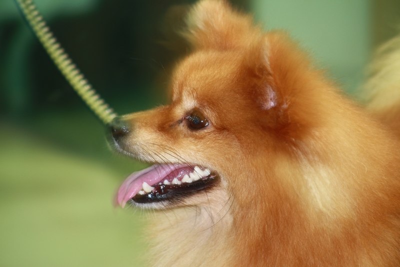 ѧ�� 060_��Ӱ_1.jpg