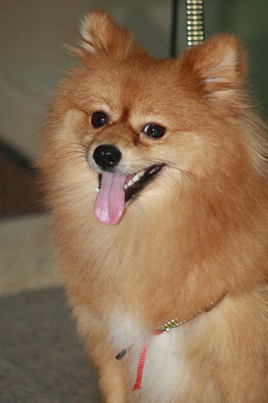 ѧ�� 066_��Ӱ_1.jpg