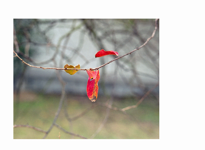 ���� img027123.jpg