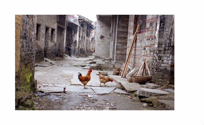 ���� img071012.jpg