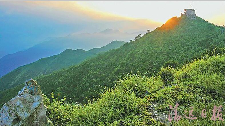 ��Ƭɽ�϶�ʵ�ĺɫ��