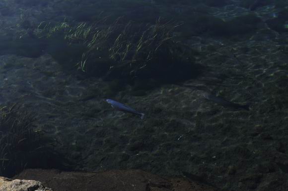 ������С _LWZ4177.JPG