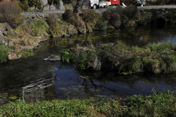 ������С _LWZ4250.JPG