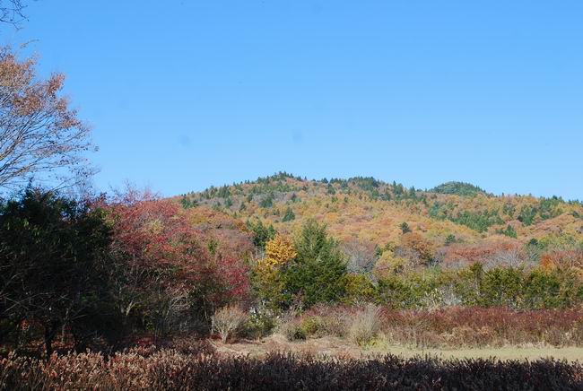 ������С DSC_0231.JPG