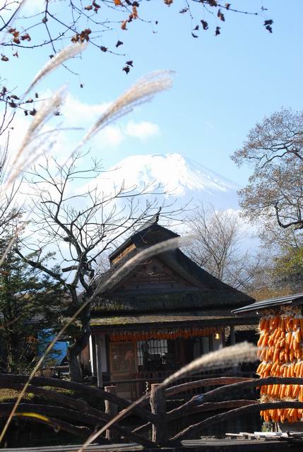 ������С DSC_0184.JPG