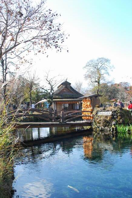 ������С DSC_0181.JPG