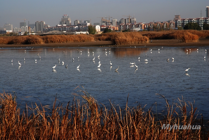 �������