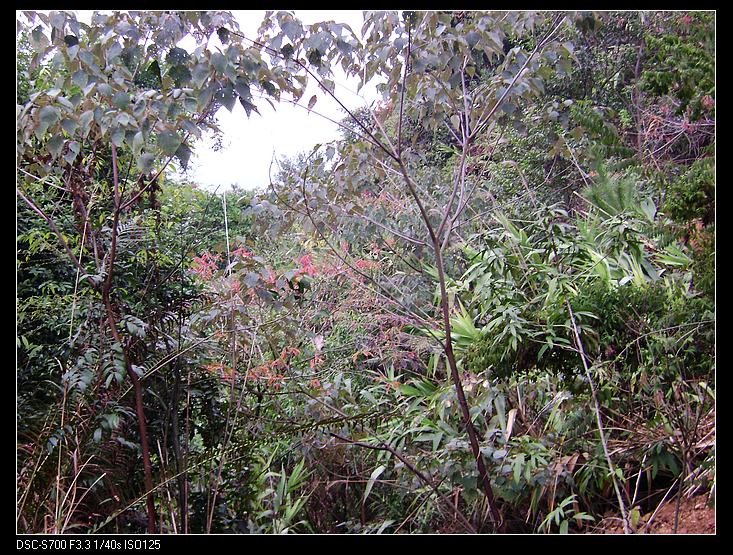 nEO_IMG_��Ƭ 060.jpg