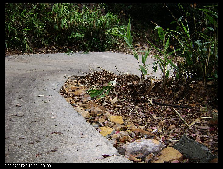 nEO_IMG_��Ƭ 065.jpg