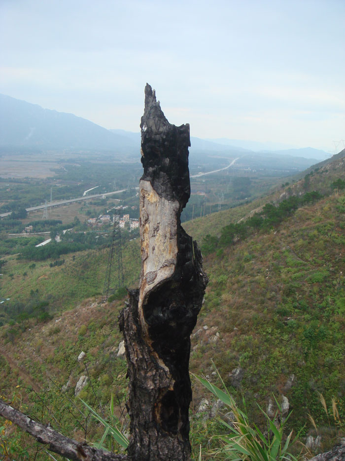 ����.�Ի���Ļ�ļ�֤