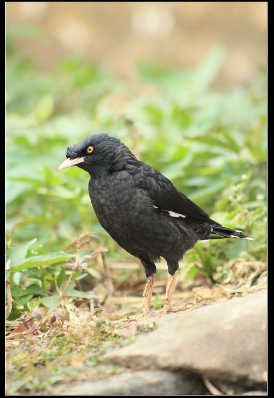 ǧ�� 048_��Ӱ_1.jpg