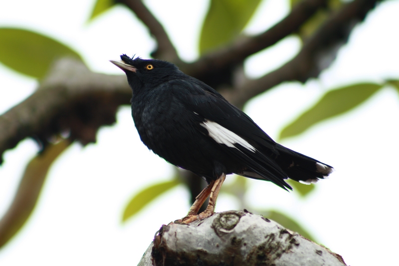 �˸� 026_��Ӱ_1.jpg