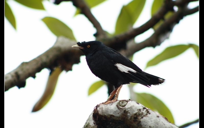 �˸� 022_��Ӱ_1.jpg