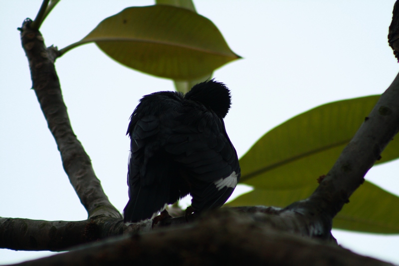 �˸� 028_��Ӱ_1.jpg