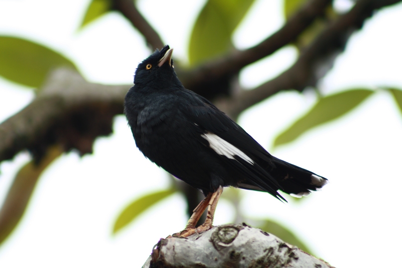 �˸� 025_��Ӱ_1.jpg