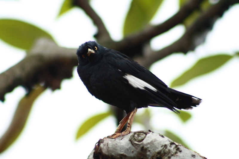 �˸� 024_��Ӱ_1.jpg