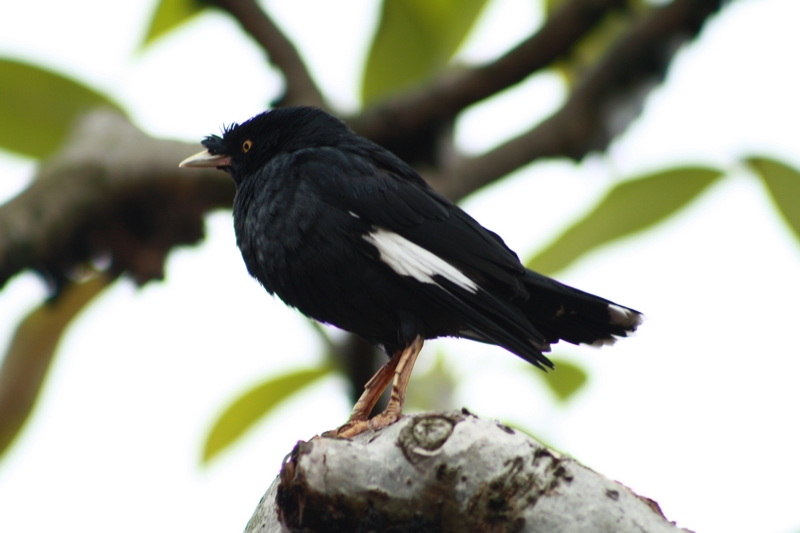 �˸� 027_��Ӱ_1.jpg