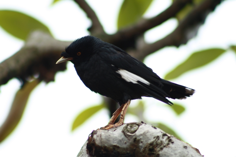 �˸� 023_��Ӱ_1.jpg