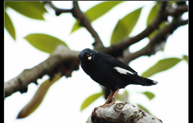 �˸� 021_��Ӱ_1.jpg