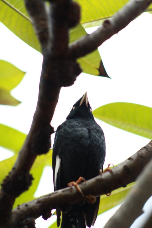 �˸� 035_��Ӱ_1.jpg