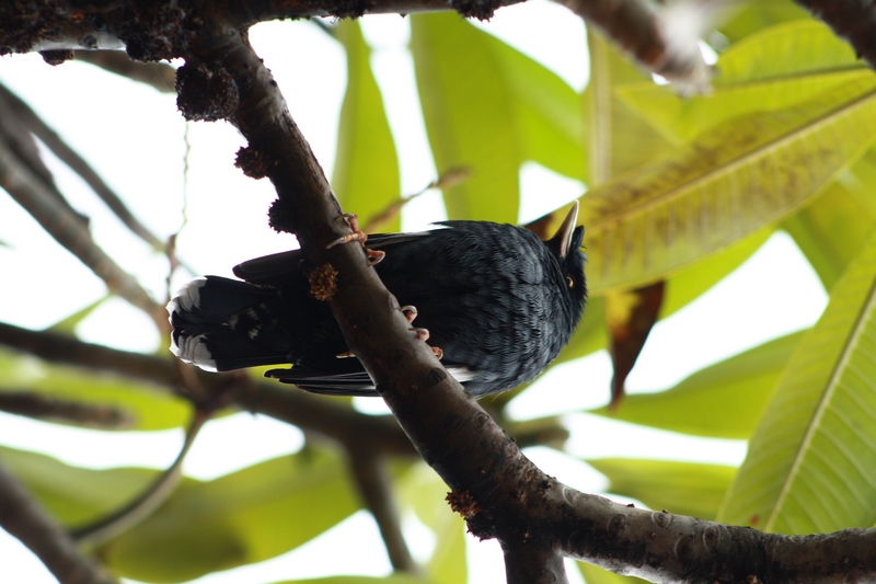 �˸� 038_��Ӱ_1.jpg