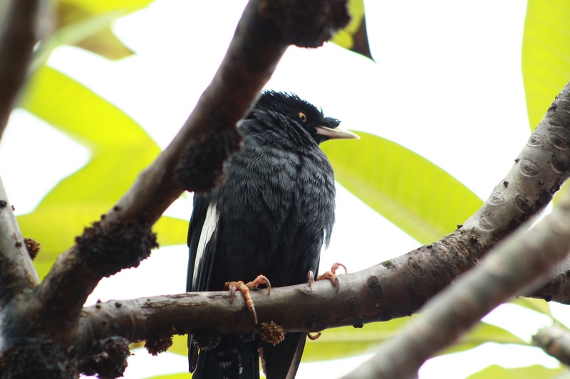 �˸� 032_��Ӱ_1.jpg