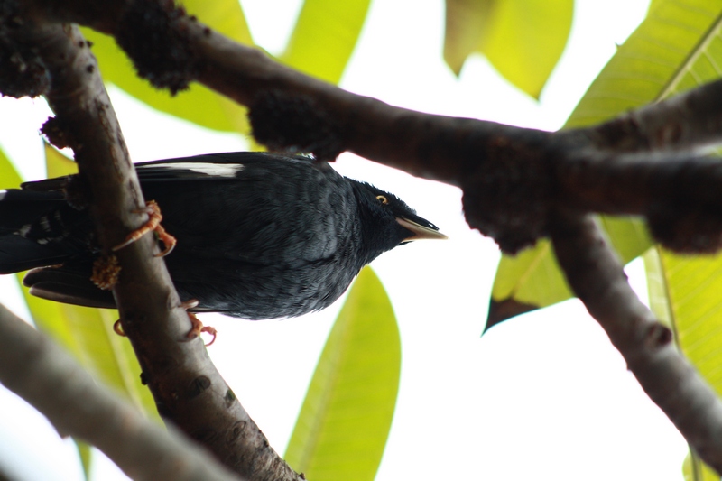 �˸� 034_��Ӱ_1.jpg