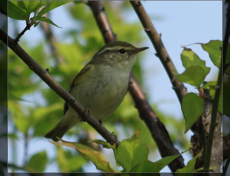 �˸� 092_��Ӱ_1.jpg