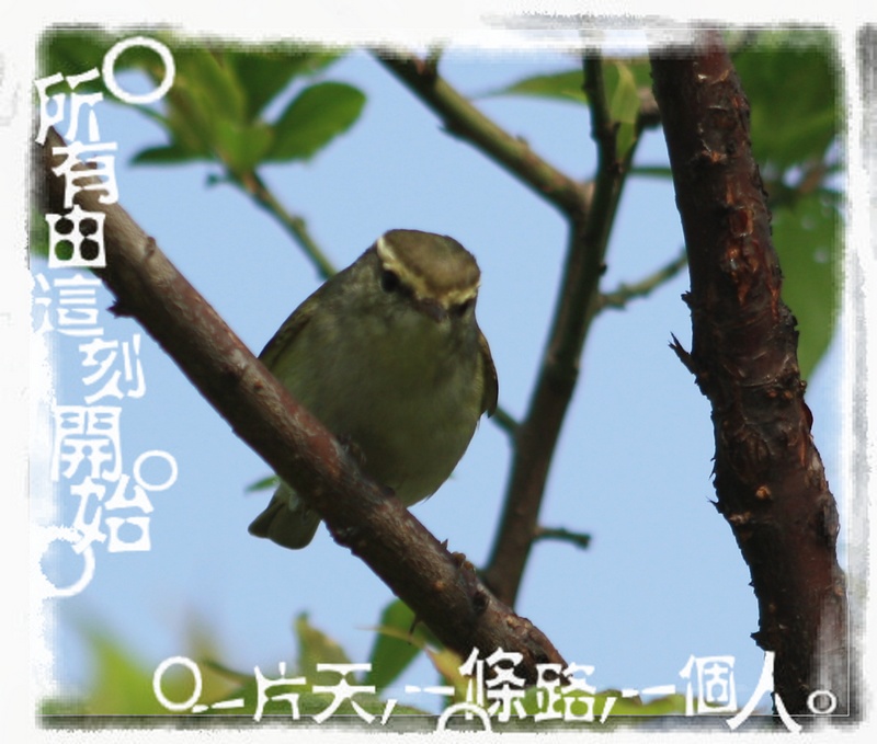 �˸� 093_��Ӱ_1.jpg