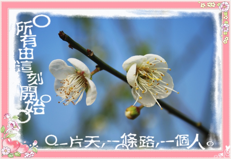 �˸� 075_��Ӱ_1.jpg