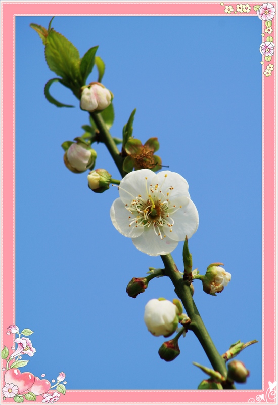 �˸� 125_��Ӱ_1.jpg