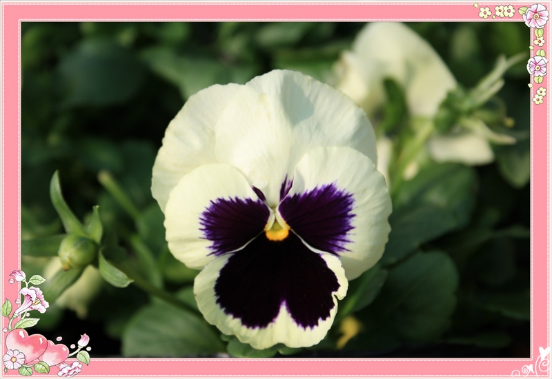 �˸� 066_��Ӱ_1.jpg