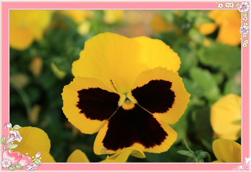 �˸� 067_��Ӱ_1.jpg