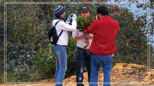 �������е�ɽ�軨���� (15).jpg