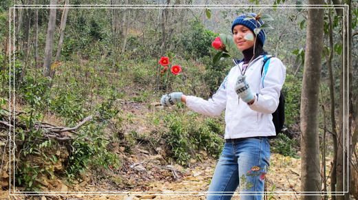 �������е�ɽ�軨���� (4).jpg