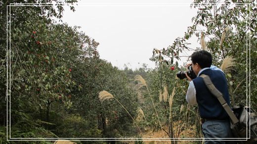 �������е�ɽ�軨���� (44).jpg