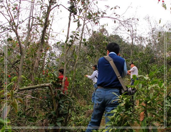 �������ǡ���벶����ȸ�ں�