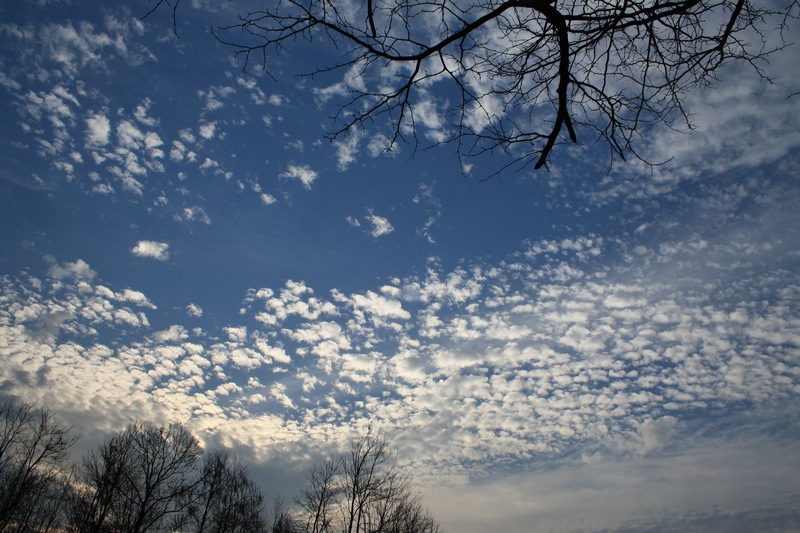 ���� 232_��Ӱ_1.jpg