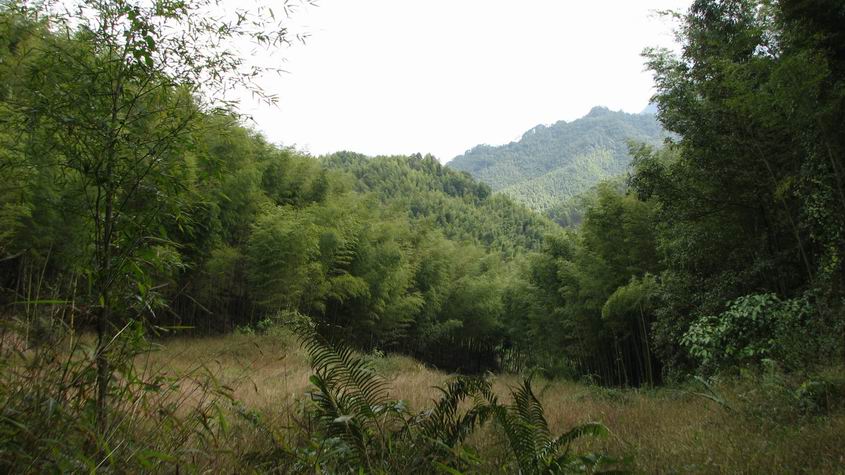 ��Ķ����