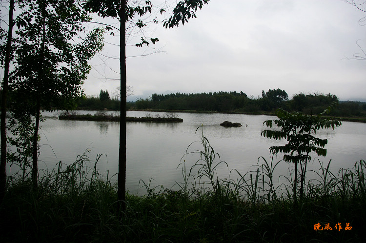 ������һƬ����