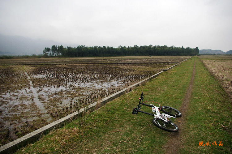 ����ǰ��