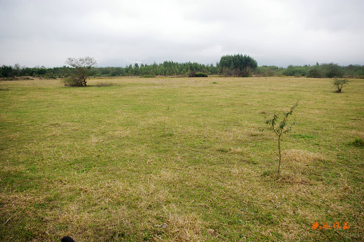 �ô�����򳡰�