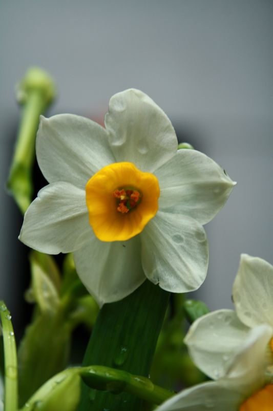 ·������